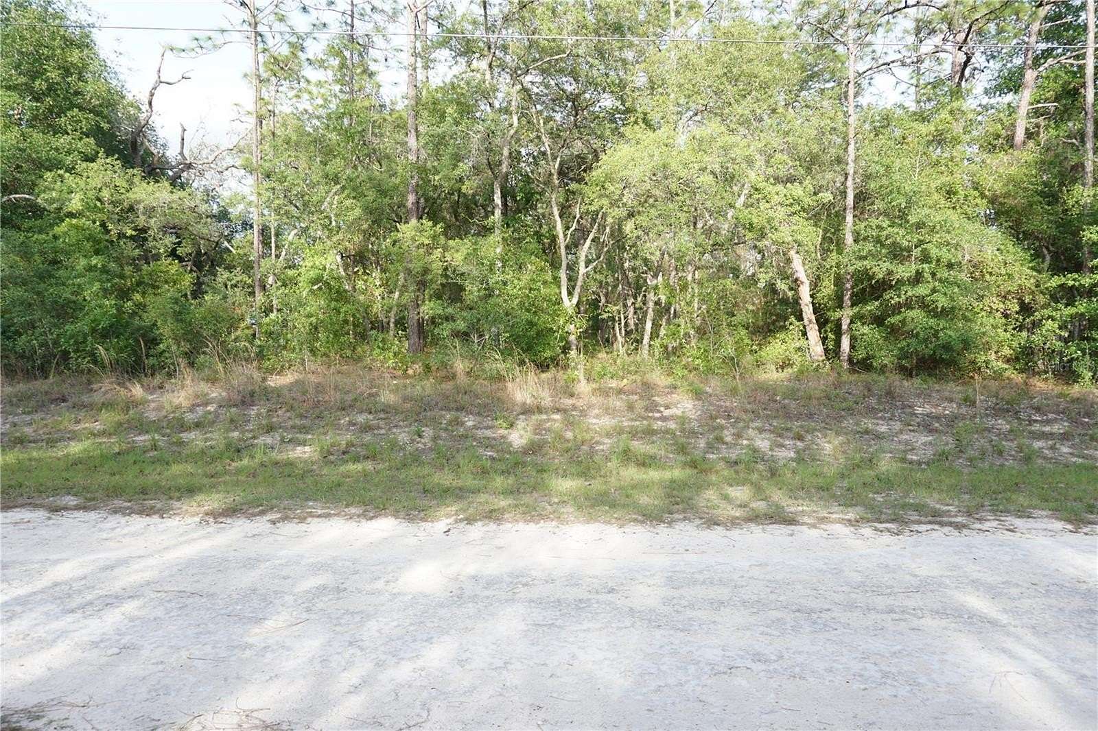 1.16 Acres of Residential Land for Sale in Dunnellon, Florida