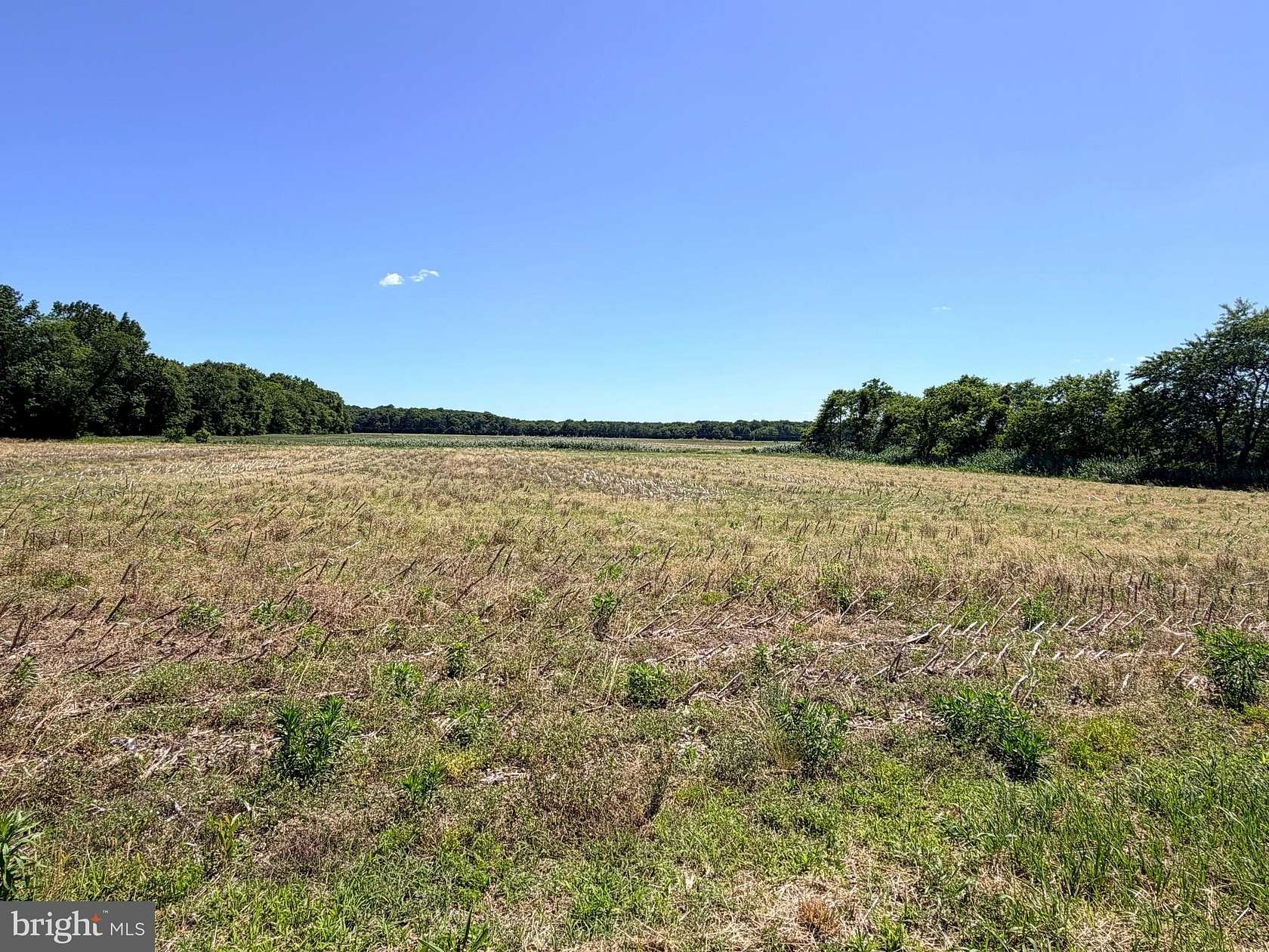 15.5 Acres of Land for Sale in Frankford, Delaware