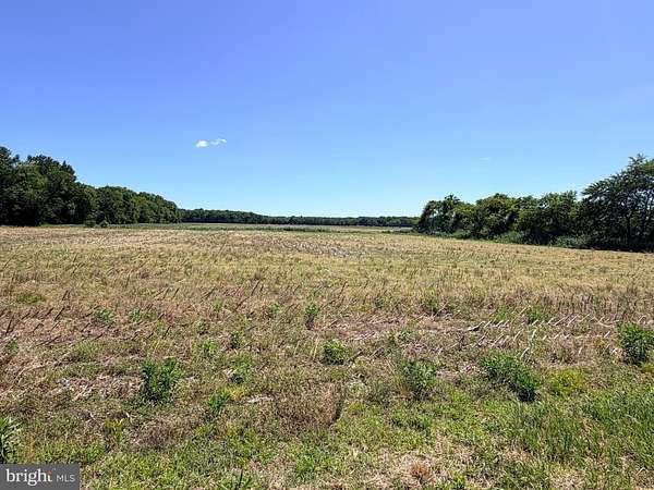15.5 Acres of Land for Sale in Frankford, Delaware