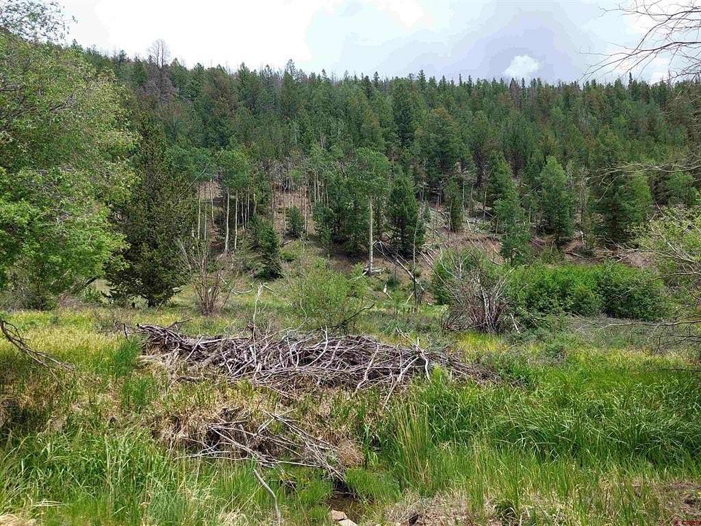 0.28 Acres of Residential Land for Sale in Bonanza, Colorado