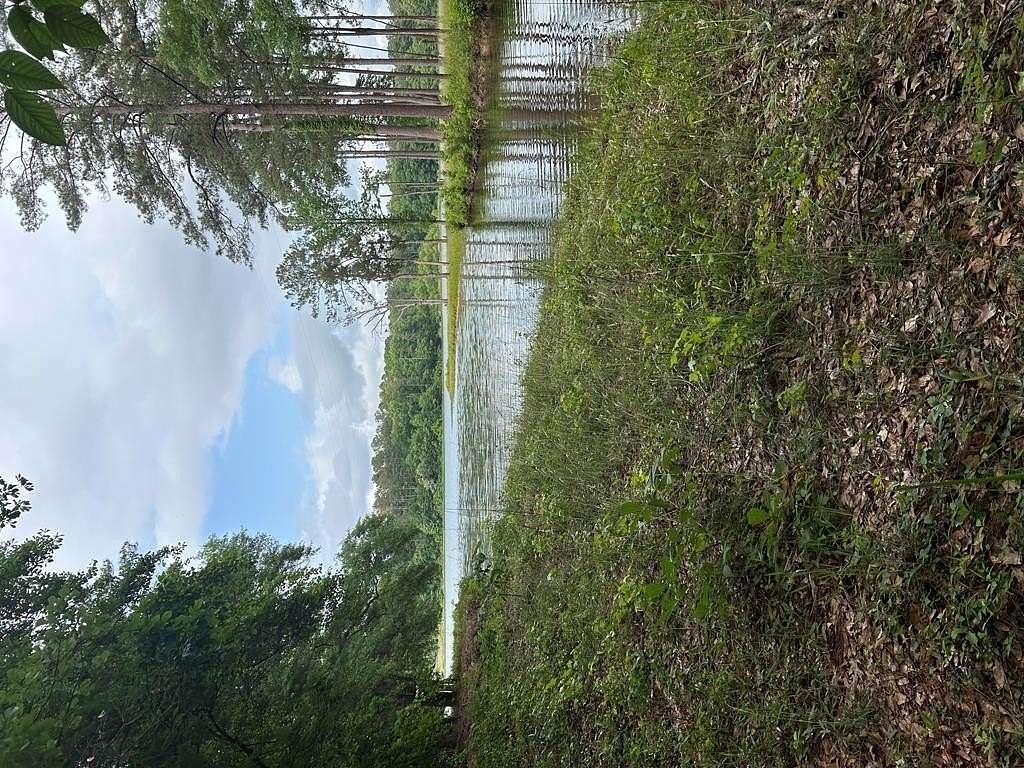 374 Acres of Recreational Land for Sale in Eufaula, Alabama