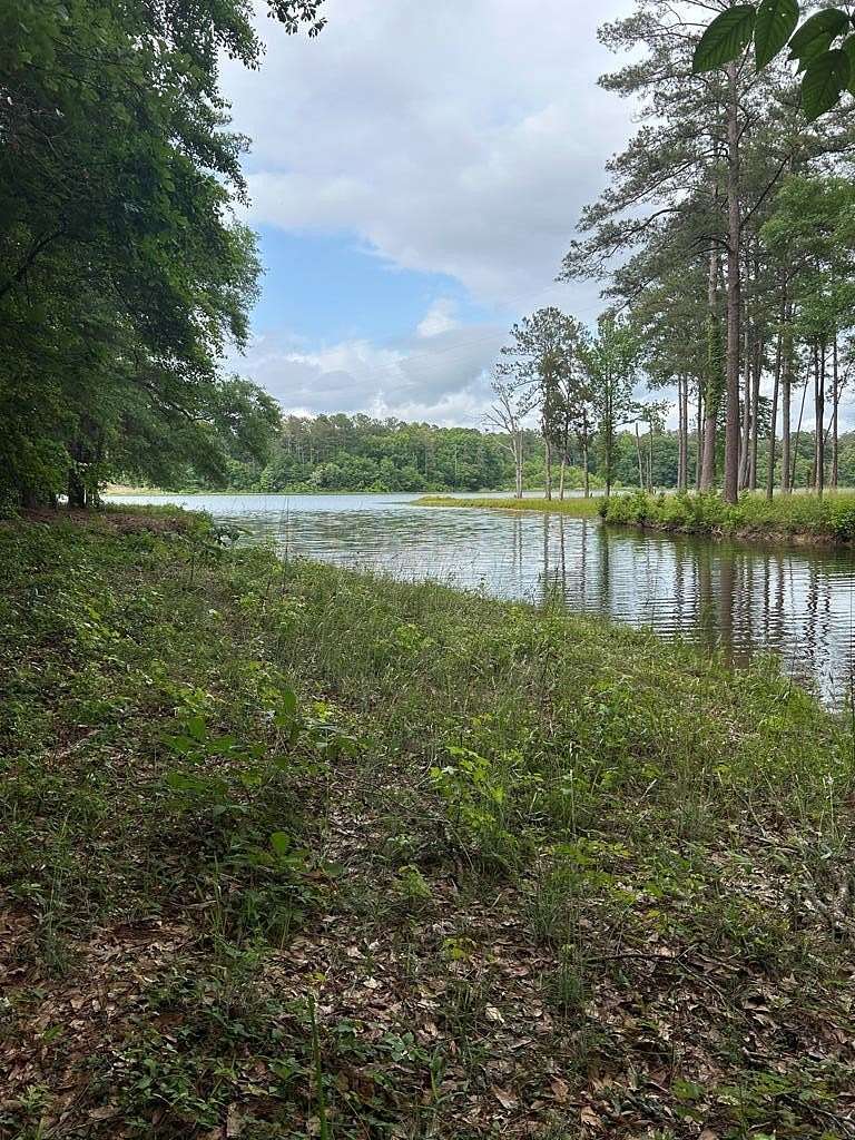 374 Acres of Recreational Land for Sale in Eufaula, Alabama