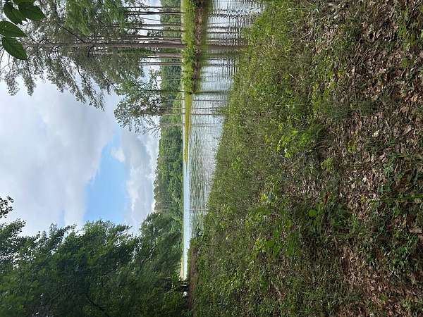 374 Acres of Recreational Land for Sale in Eufaula, Alabama