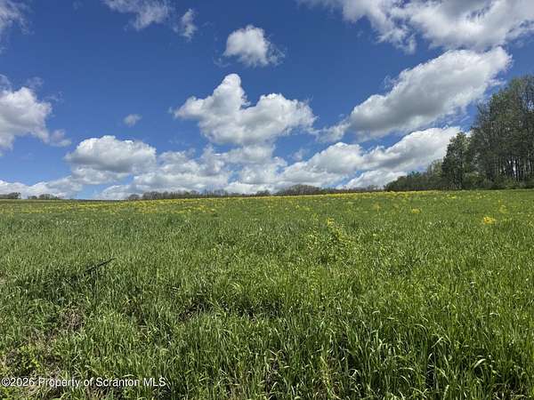 95 Acres of Recreational Land for Sale in Falls Township, Pennsylvania