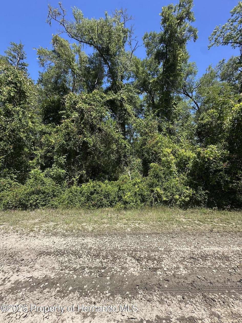 0.22 Acres of Residential Land for Sale in Inverness, Florida