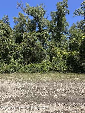 0.22 Acres of Residential Land for Sale in Inverness, Florida