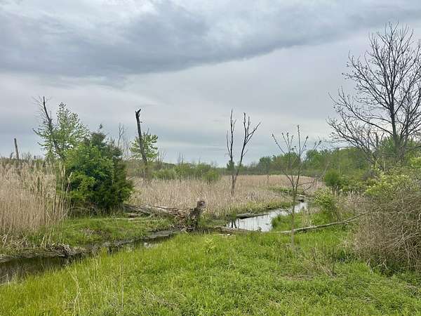 9.78 Acres of Land for Sale in Portage, Michigan