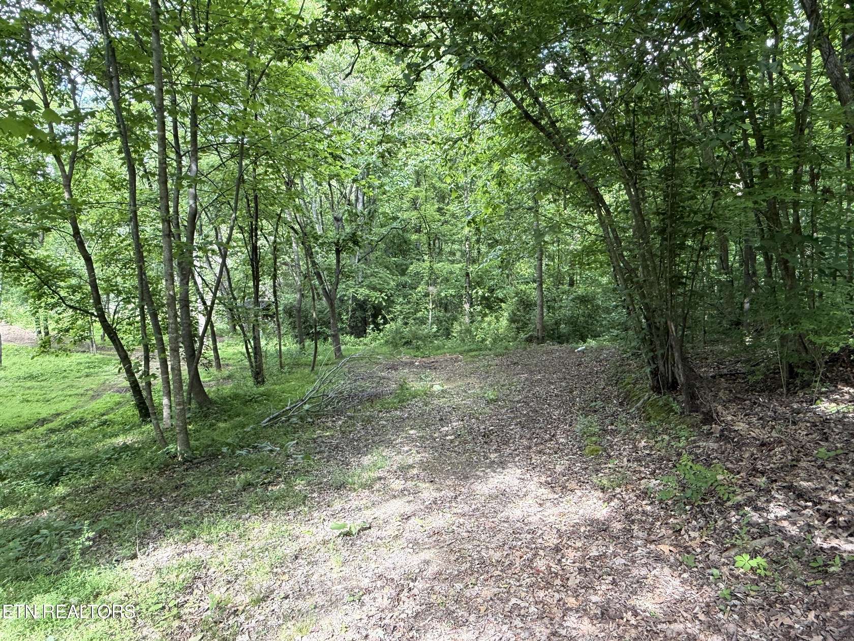 2.8 Acres of Residential Land for Sale in Newport, Tennessee