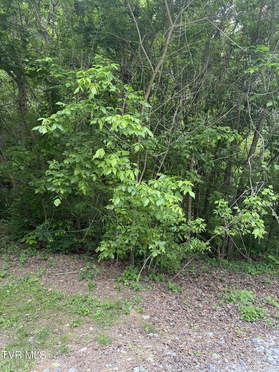 0.5 Acres of Residential Land for Sale in Johnson City, Tennessee