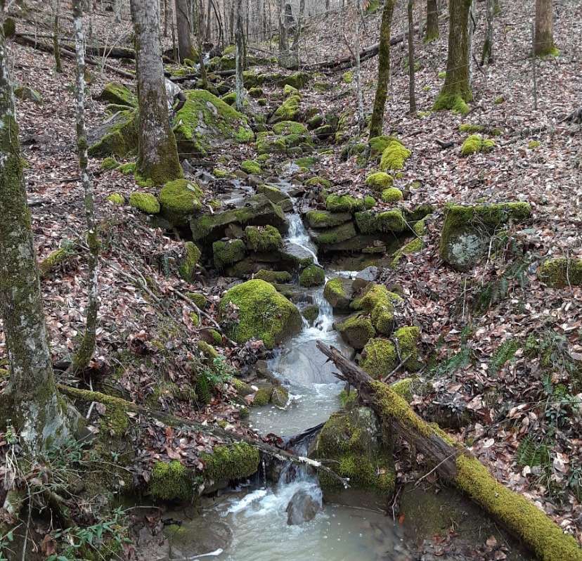 30 Acres of Recreational & Residential Land for Sale in McMinnville, Tennessee