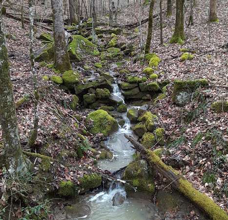 30 Acres of Recreational & Residential Land for Sale in McMinnville, Tennessee