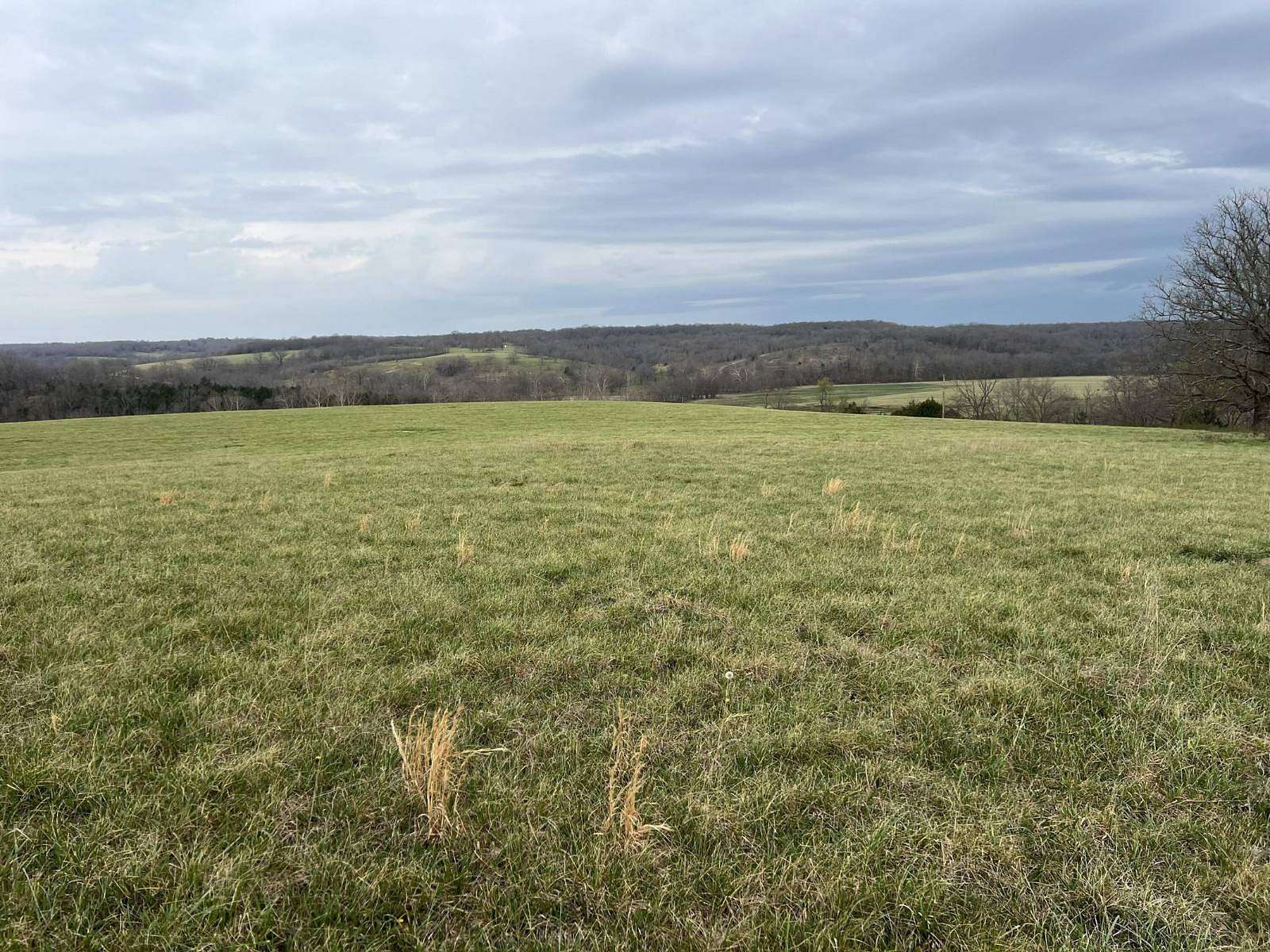75 Acres of Recreational & Residential Land for Sale in Norwood, Missouri