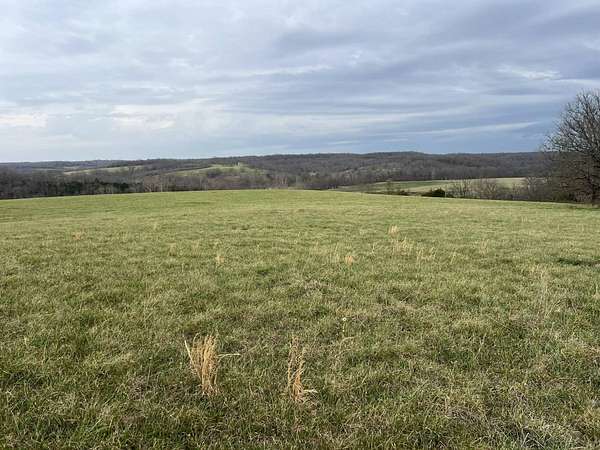 75 Acres of Recreational & Residential Land for Sale in Norwood, Missouri