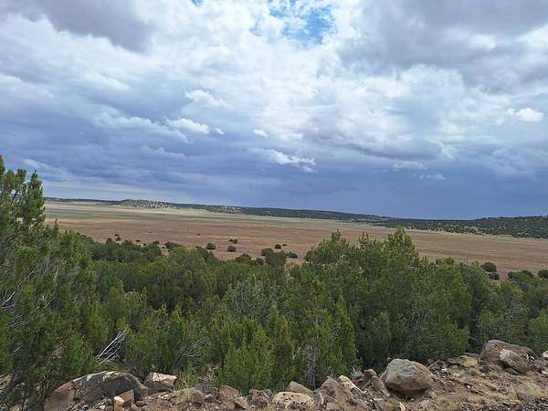 55 Acres of Recreational & Residential Land for Sale in Concho, Arizona