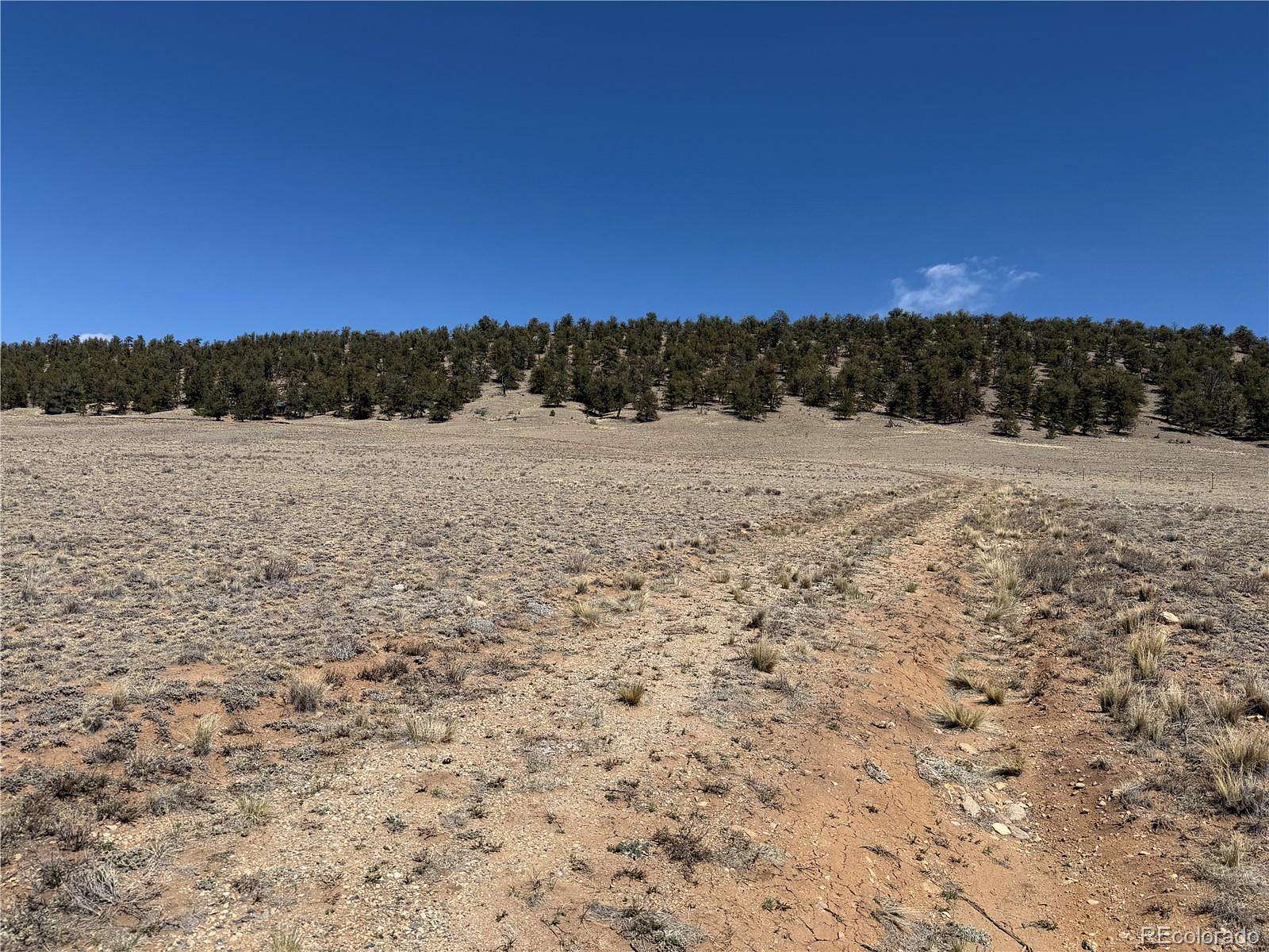 35.1 Acres of Recreational Land for Sale in Jefferson, Colorado