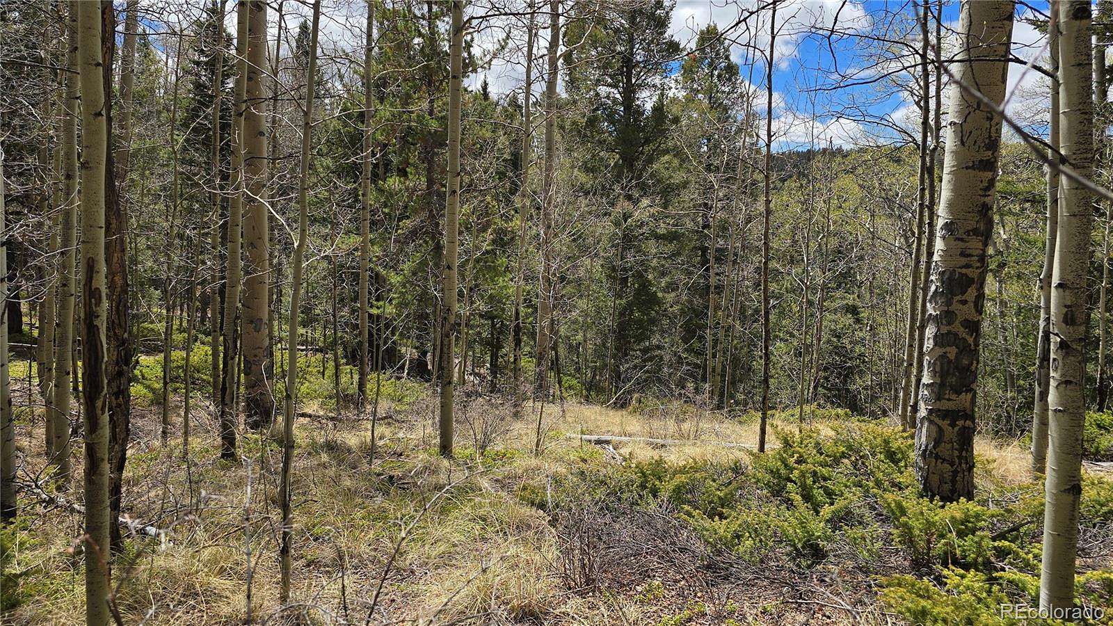 10 Acres of Land for Sale in Fort Garland, Colorado
