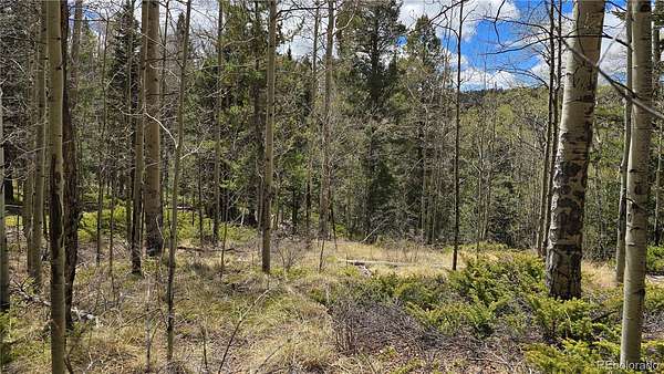10 Acres of Land for Sale in Fort Garland, Colorado