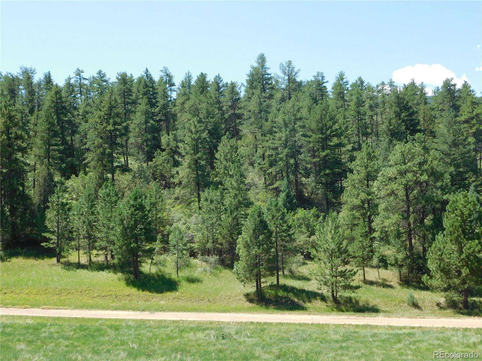 1 Acre of Residential Land for Sale in Larkspur, Colorado