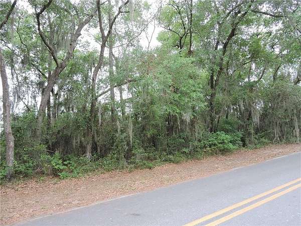 0.16 Acres of Land for Sale in Darien, Georgia