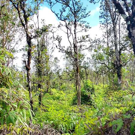 1 Acre of Residential Land for Sale in Mountain View, Hawaii