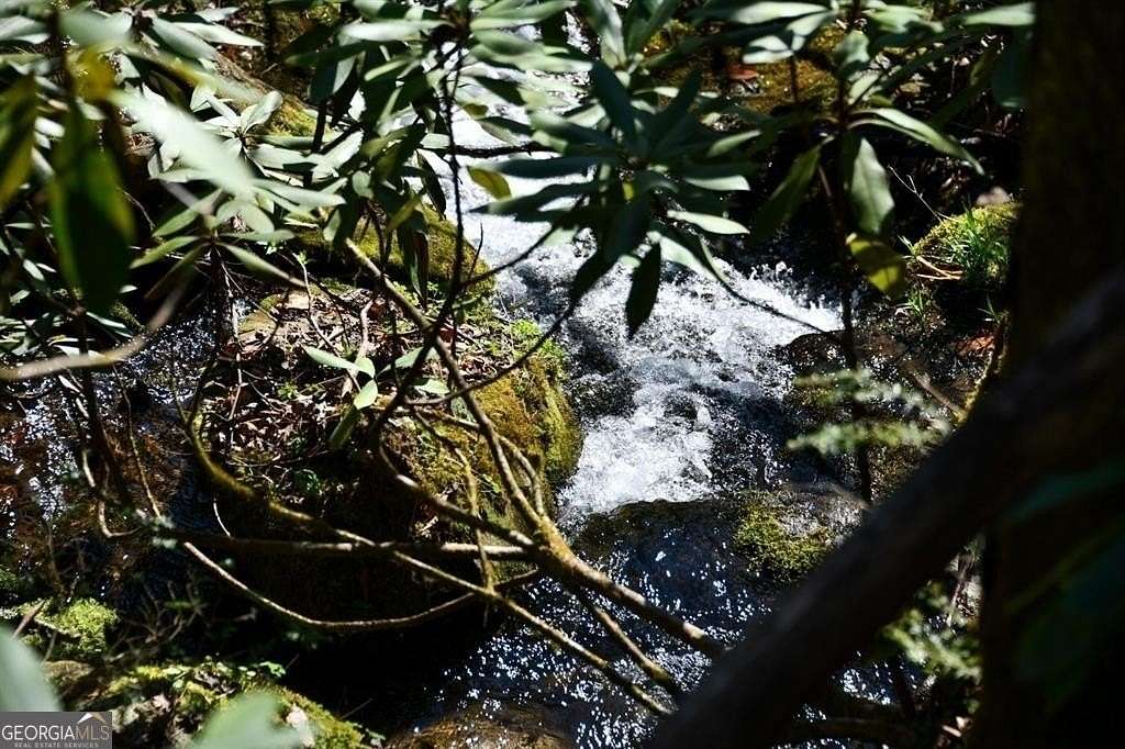 19 Acres of Land for Sale in Scaly Mountain, North Carolina