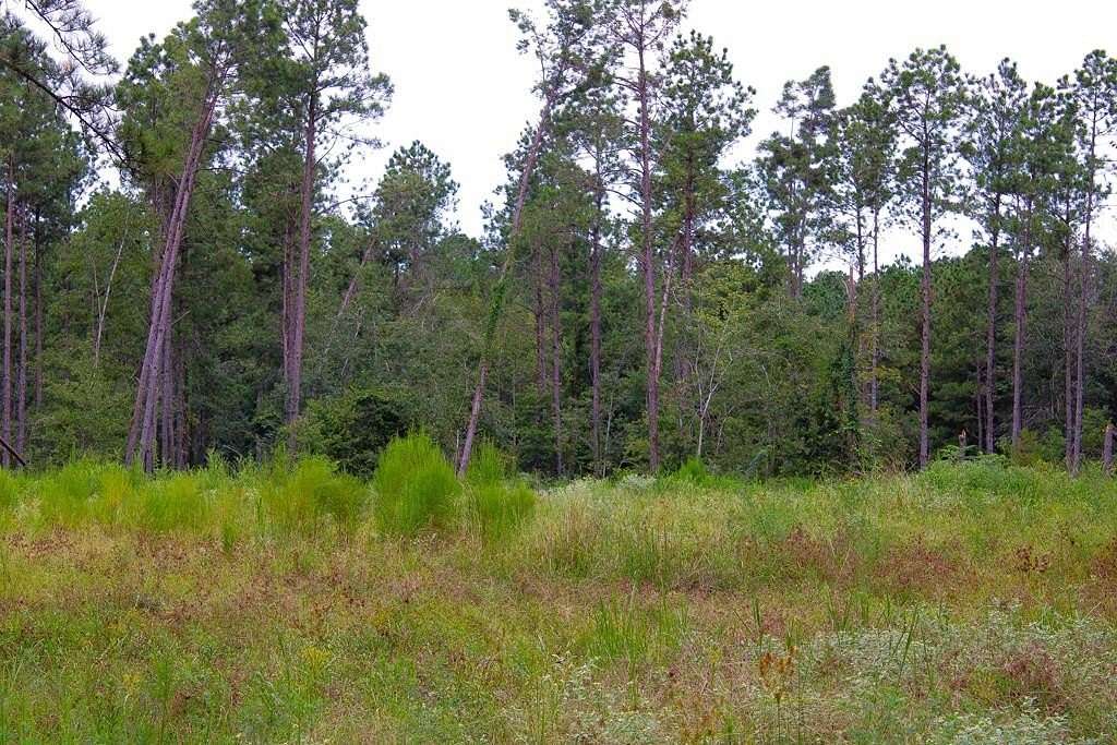48 Acres of Agricultural & Residential Land for Sale in Hudson, Texas
