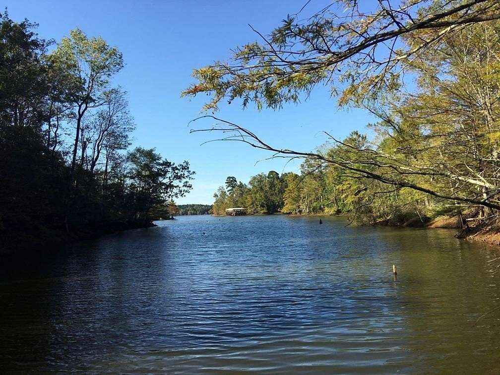 31.2 Acres of Recreational & Residential Land for Sale in Hemphill, Texas