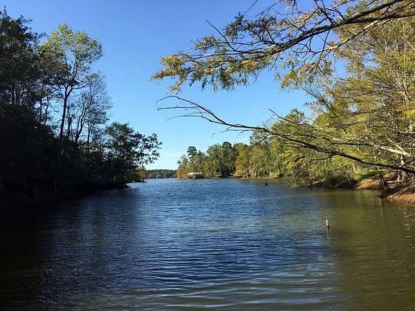 31.2 Acres of Recreational & Residential Land for Sale in Hemphill, Texas