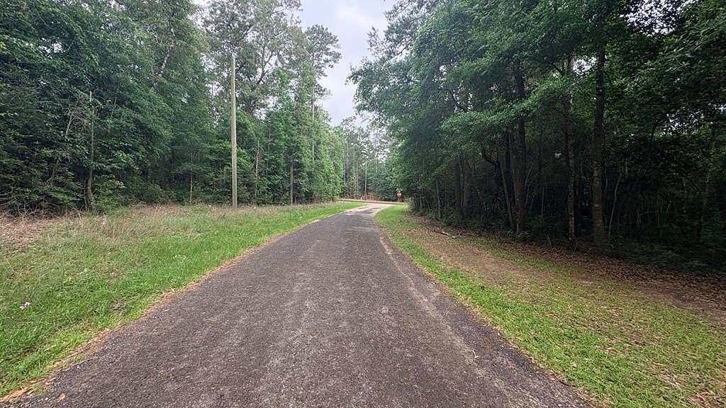 0.44 Acres of Residential Land for Sale in Woodville, Texas