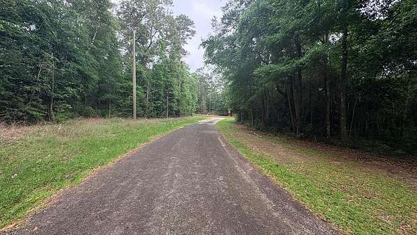 0.44 Acres of Residential Land for Sale in Woodville, Texas