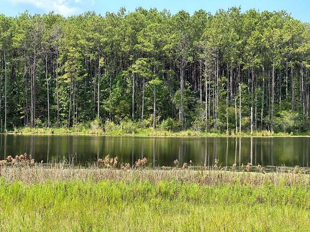 29.6 Acres of Recreational & Residential Land for Sale in Poplarville, Mississippi