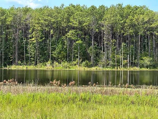 29.6 Acres of Recreational & Residential Land for Sale in Poplarville, Mississippi