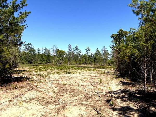 1.28 Acres of Residential Land for Sale in Fountain, Florida
