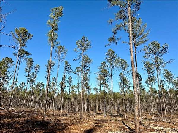 59.6 Acres of Recreational & Residential Land for Sale in Salem, Alabama