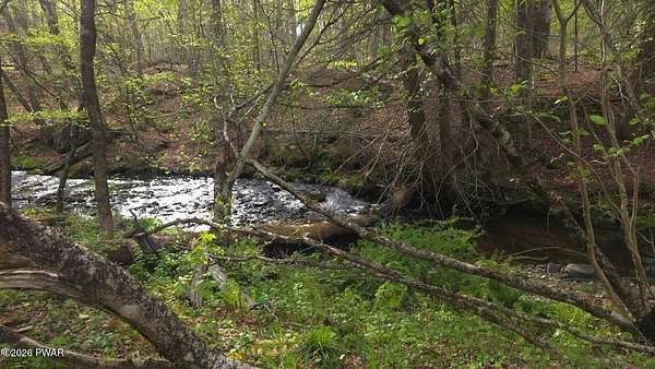 24 Acres of Recreational & Residential Land for Sale in Equinunk, Pennsylvania
