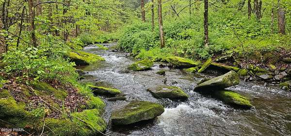 24 Acres of Recreational & Residential Land for Sale in Equinunk, Pennsylvania