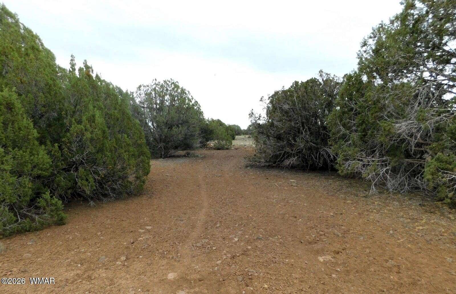 0.23 Acres of Residential Land for Sale in Show Low, Arizona