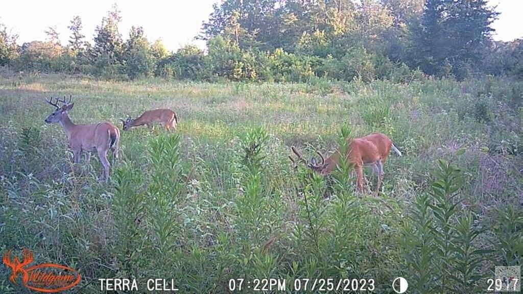 31 Acres of Recreational & Residential Land for Sale in De Kalb, Texas