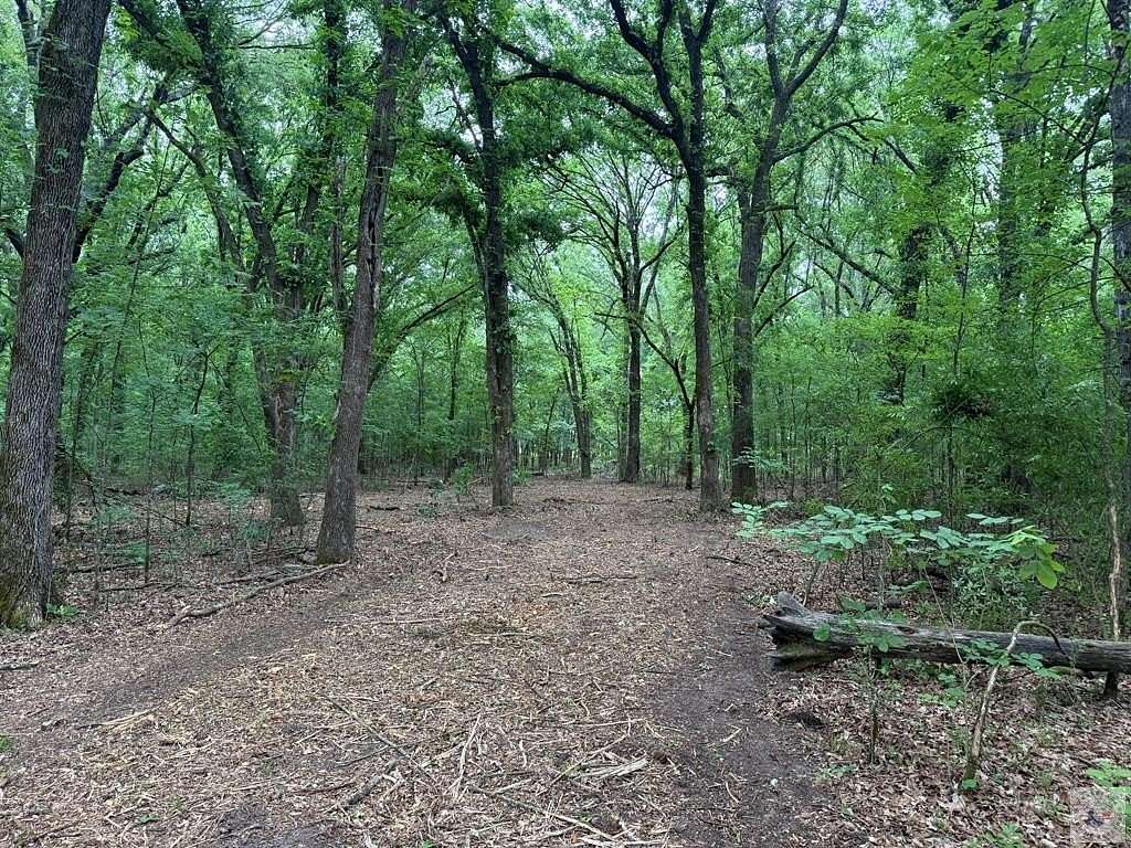 31 Acres of Recreational & Residential Land for Sale in De Kalb, Texas