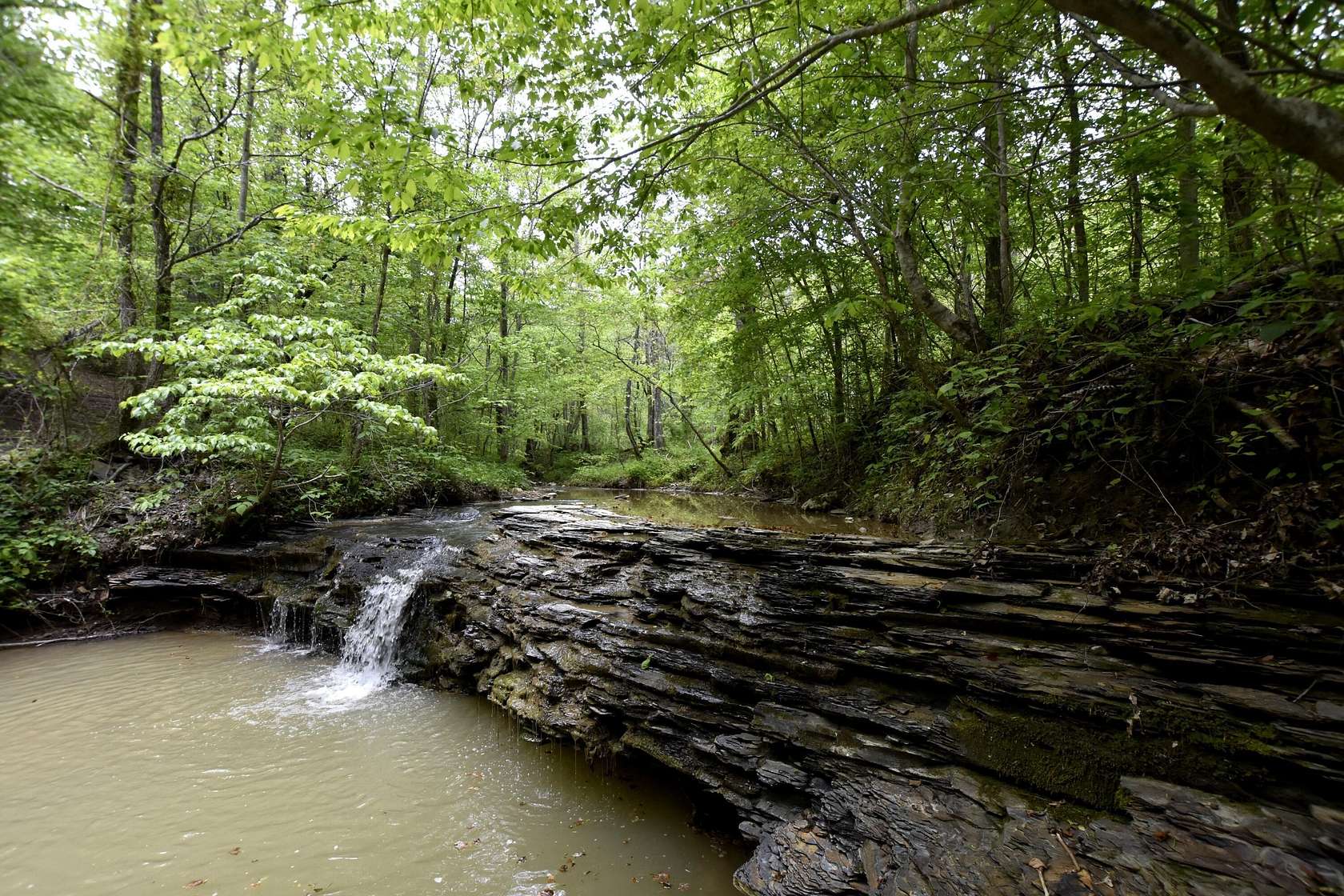 183 Acres of Recreational & Residential Land for Sale in Ravenna, Kentucky