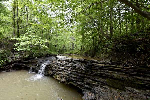 183 Acres of Recreational & Residential Land for Sale in Ravenna, Kentucky