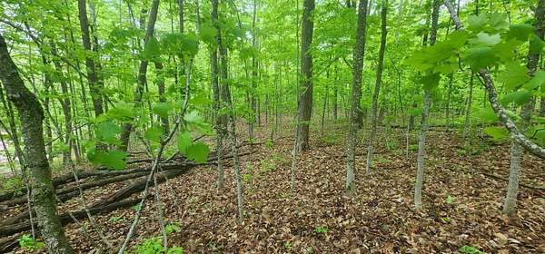 0.36 Acres of Residential Land for Sale in Garrison, Minnesota