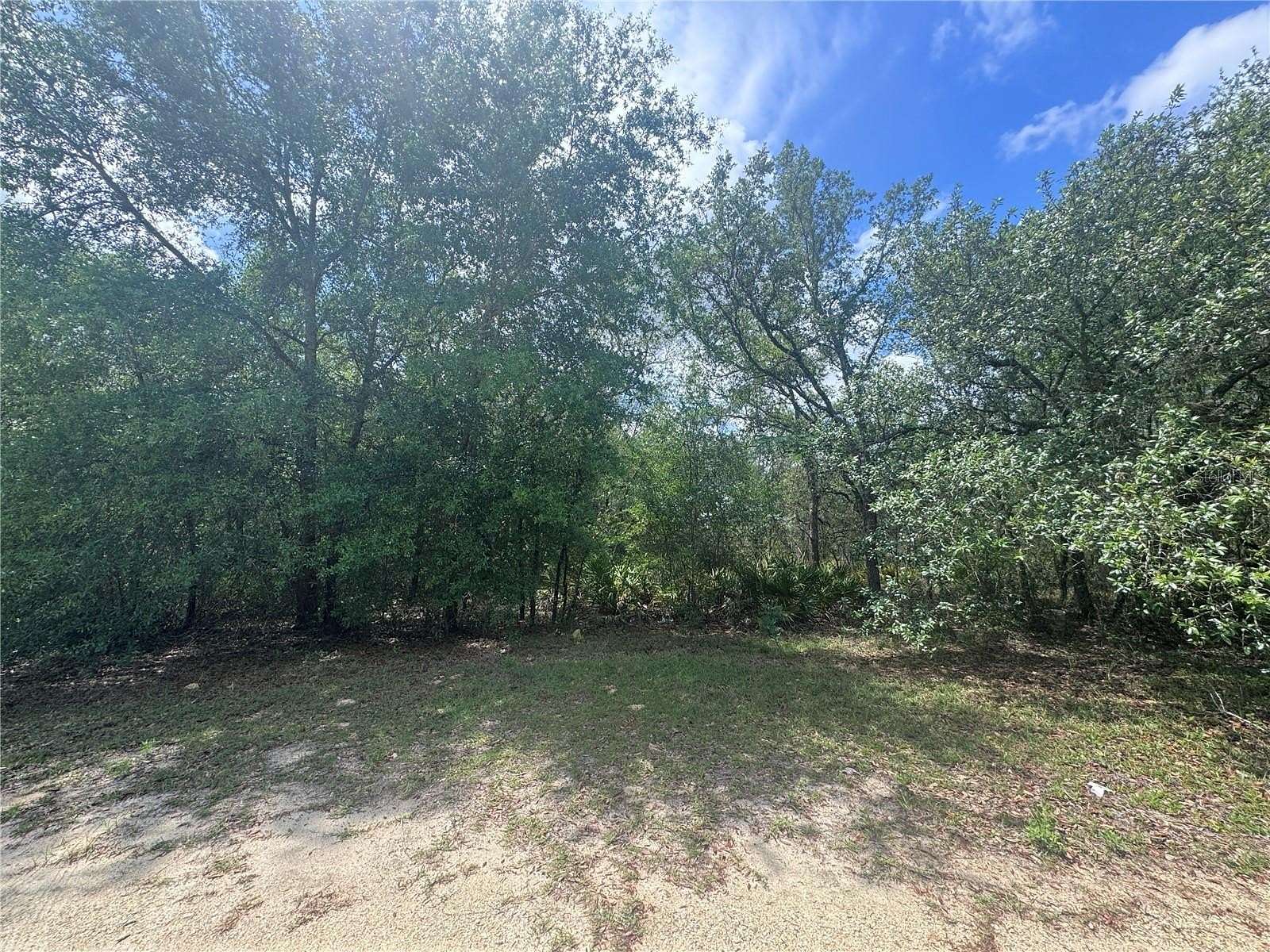0.24 Acres of Residential Land for Sale in Williston, Florida