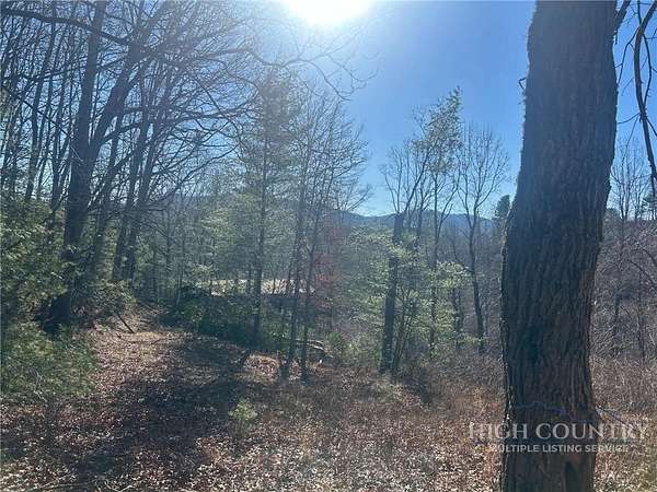 7.56 Acres of Land for Sale in Crumpler, North Carolina
