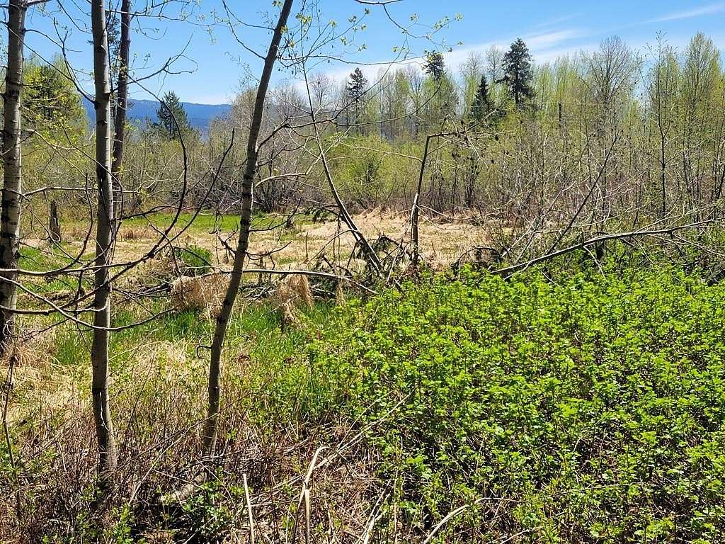 1 Acre of Land for Sale in Donnelly, Idaho