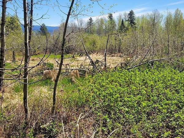 1 Acre of Land for Sale in Donnelly, Idaho