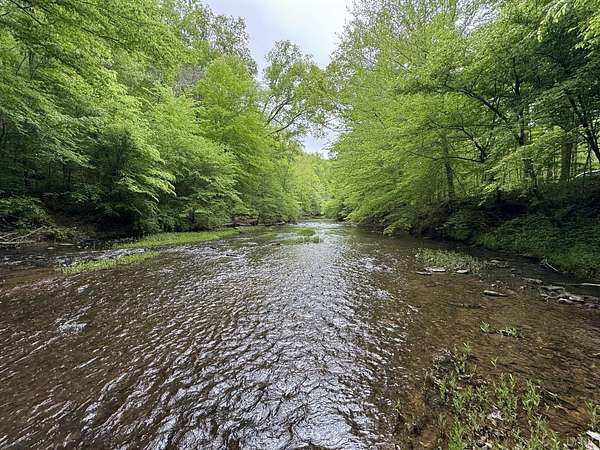 84.4 Acres of Recreational & Residential Land for Sale in Appomattox, Virginia