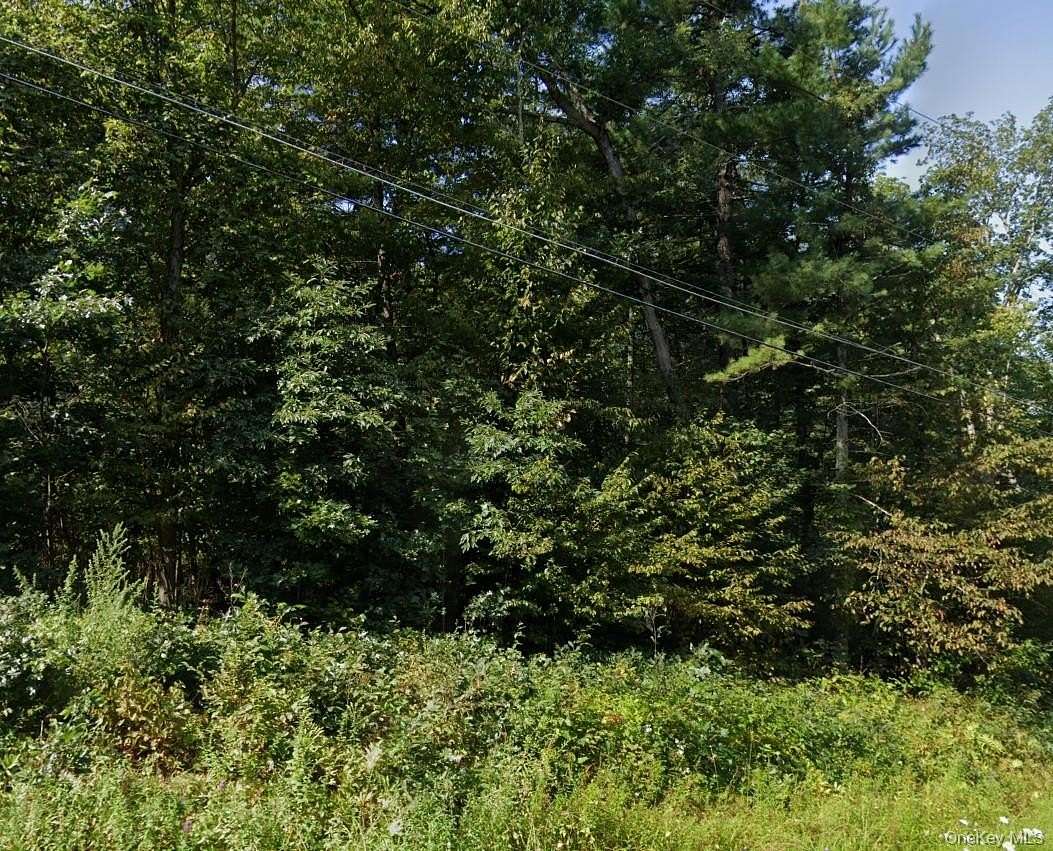 0.78 Acres of Land for Sale in Kerhonkson, New York
