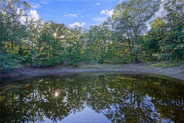 46.9 Acres of Land for Sale in Teague, Texas