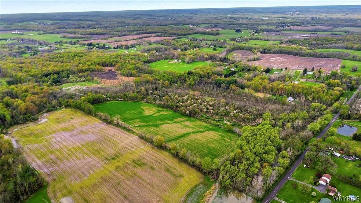 97.6 Acres of Land for Sale in Alexander, New York